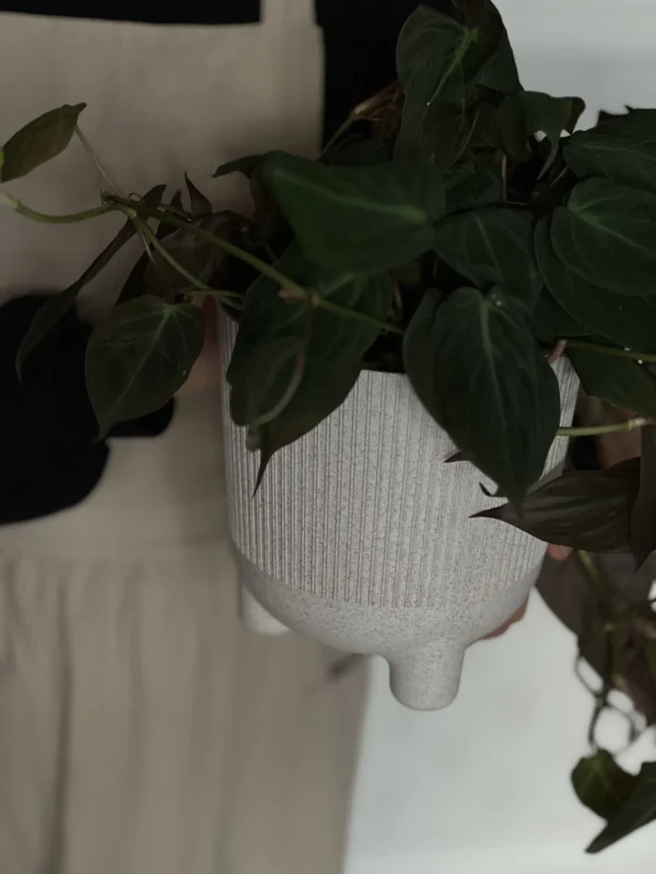Stockholm Pot | Almond Milk - Image 4