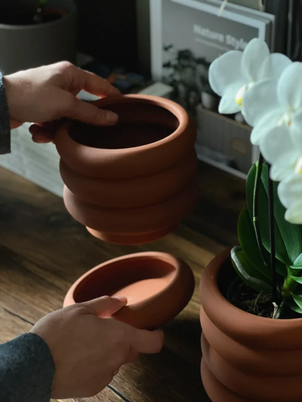 Curvy Pot | Terracotta - Image 3