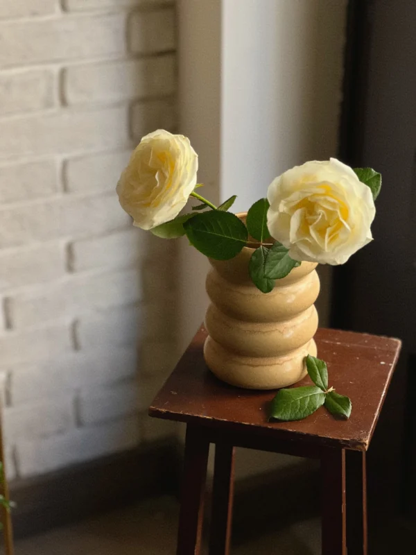 Curvy Pancake Vase - Image 4