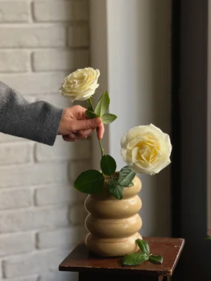 Curvy Pancake Vase