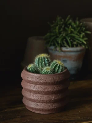Little Ribbed Pot | Coco