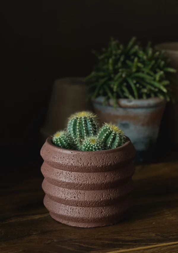 Little Ribbed Pot | Coco