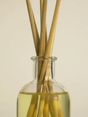 The Olphactory - Reed Diffuser Orange & Cinnamon 100ml